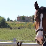 Fattoria Di Monticello Farm stay