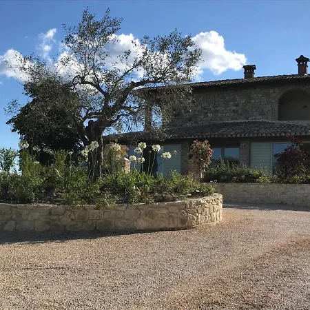 Fattoria Di Monticello *