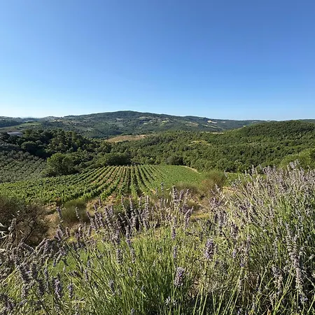 Gospodarstwo agroturystyczne Fattoria Di Monticello