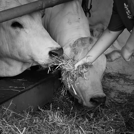 Fattoria Di Monticello Farm stay *