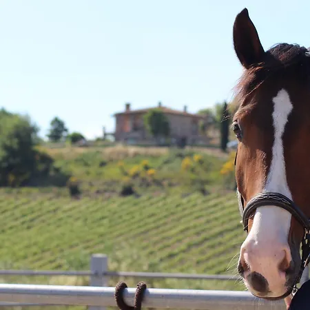 Fattoria Di Monticello Farm stay