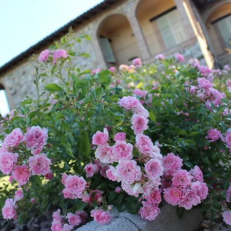 Fattoria Di Monticello *