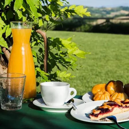 Agroturismo Fattoria Di Monticello